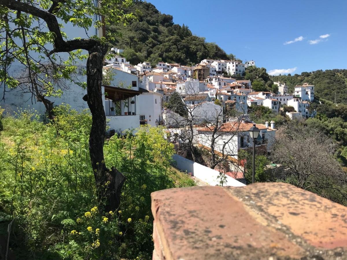 Casa Rural Pimentel Benalauría Kültér fotó